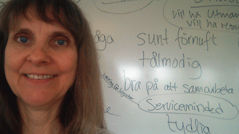 Jag leder ett seminarium om värderingar, styrkor och drivkrafter.