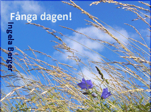 Fånga dagen - gratis meditationsfil